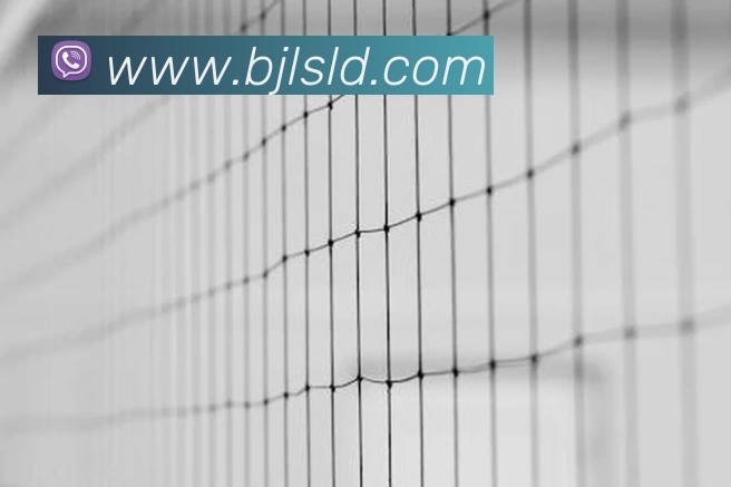 百家乐网站品牌故事